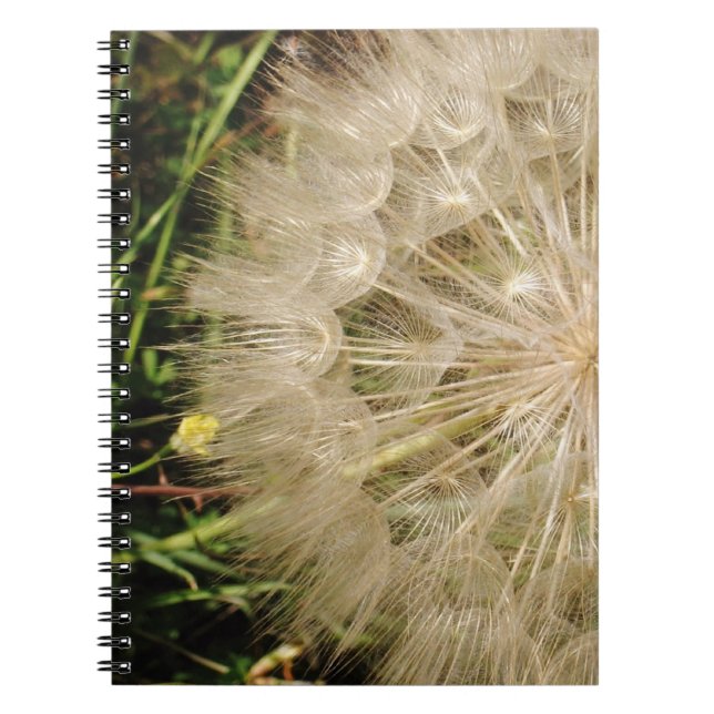 Dandelion Clock Close-Up Spiral Notebook (Front)