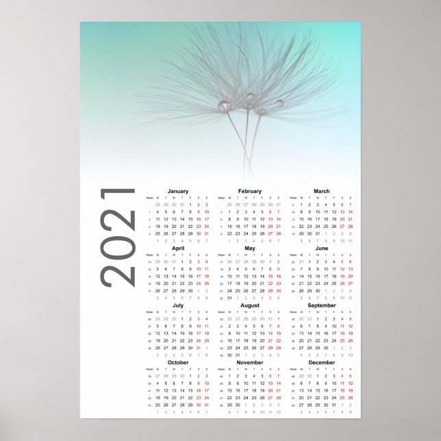 Dandelion clocks Calendar 2021 Poster (Front)