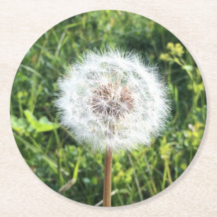 Dandelion Coaster Set