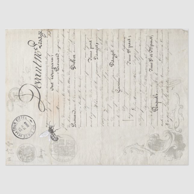 Dandelion Companion Sheet (Front)