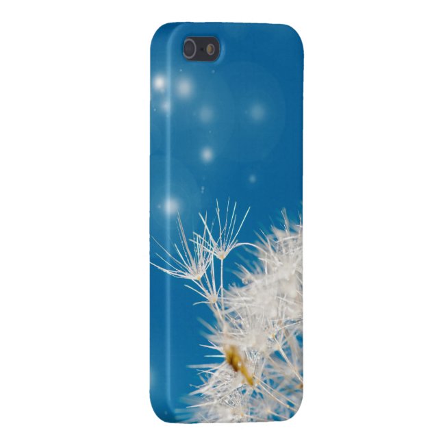 dandelion cover (Back Right)