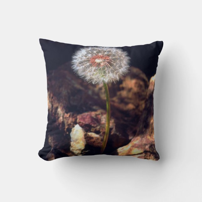 Dandelion Cushion (Front)