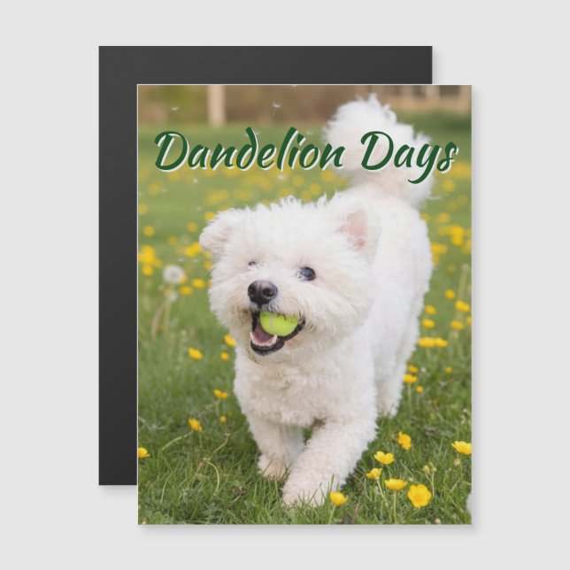 Dandelion Days (Front/Back)