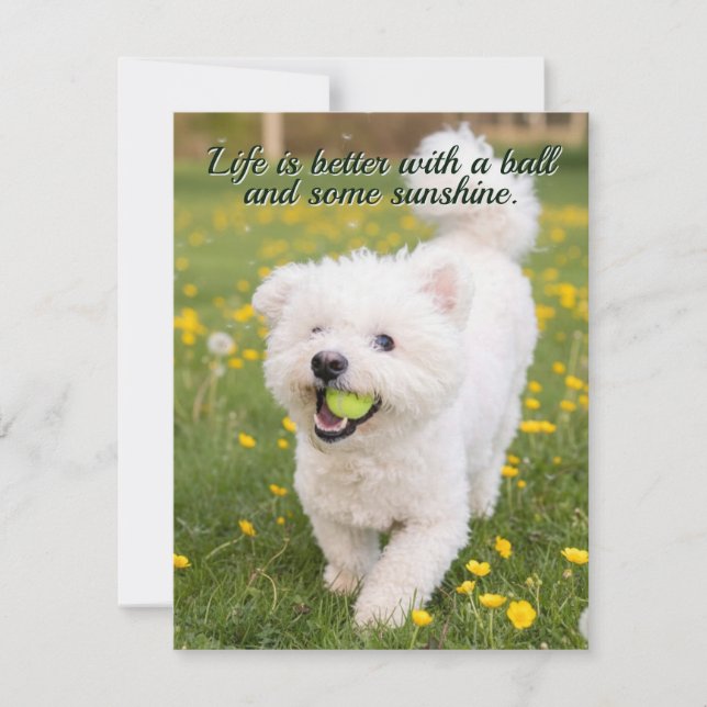 Dandelion Days Card (Front)