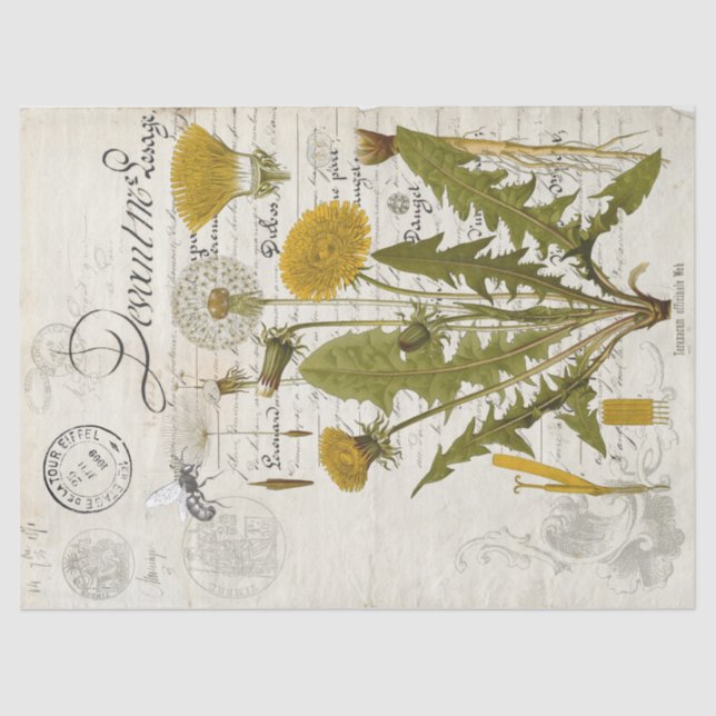 Dandelion Decoupage Tissue Sheet (Front)