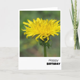  Dandelion Delight Birthday Card