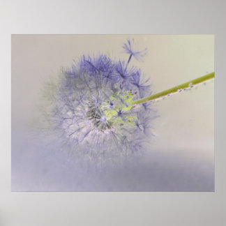 Dandelion Dream Poster