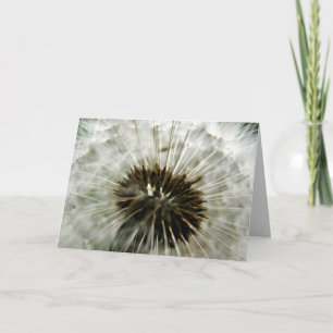 Dandelion Dreams Card