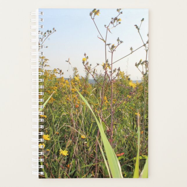 Dandelion Field Bokeh  Planner (Front)