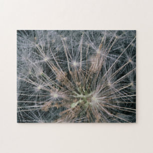 Dandelion Fireworks Jigsaw Puzzle