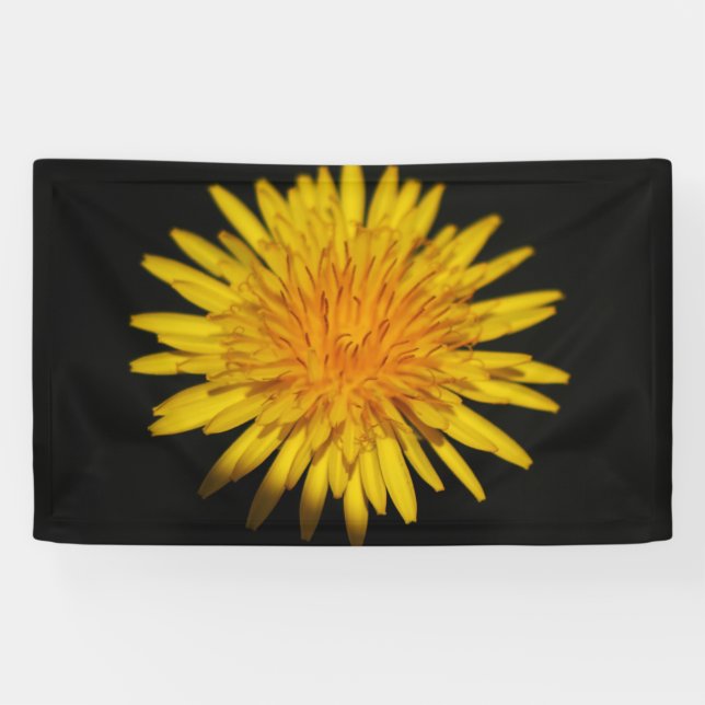 Dandelion Flower bnrcna Banner (Horizontal)