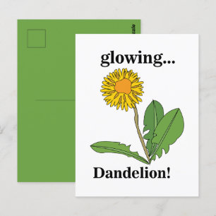 Dandelion Flower Floral  Postcard