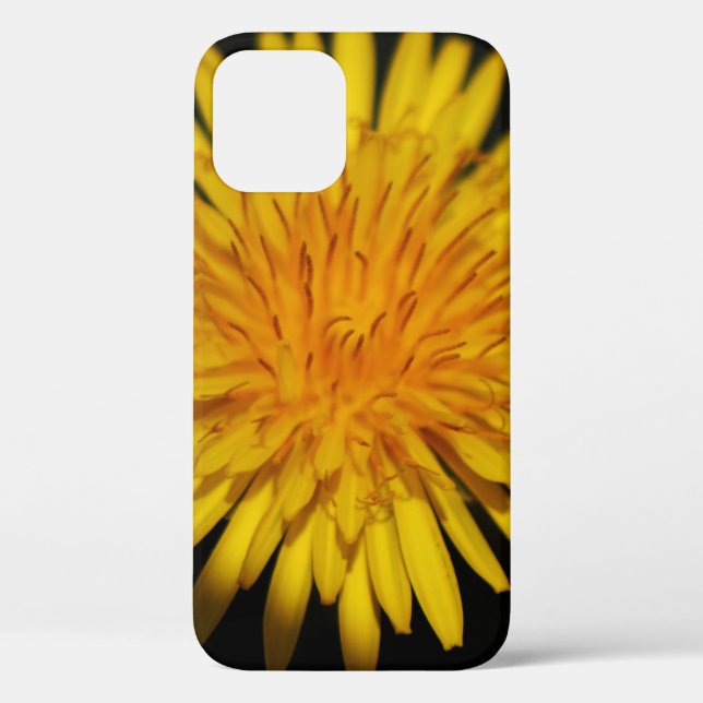 Dandelion Flower iphcna Case-Mate iPhone Case (Back)