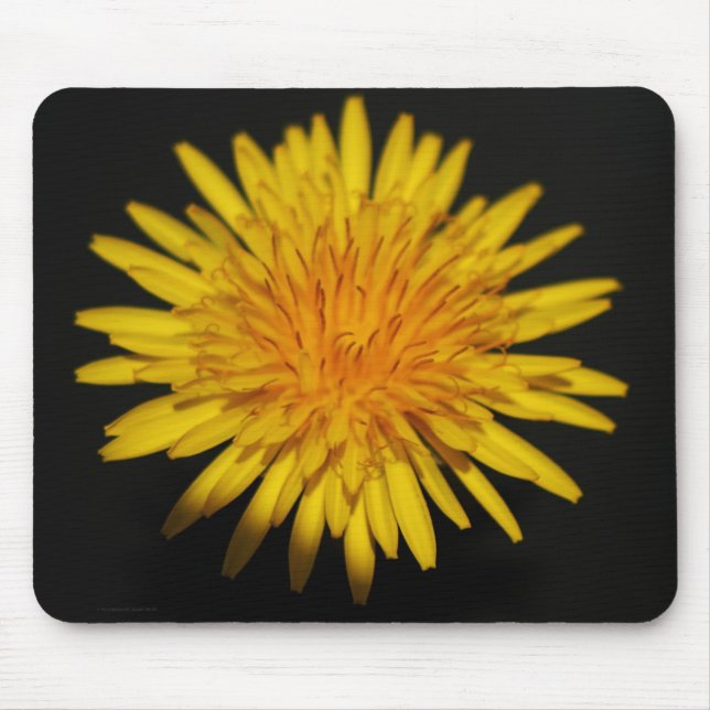 Dandelion Flower mpcna Mouse Pad (Front)