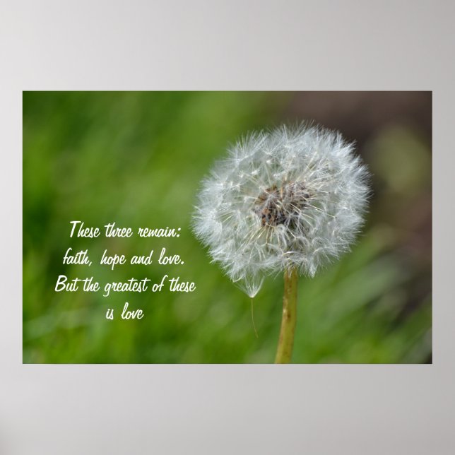 Dandelion Flower Poster (Front)