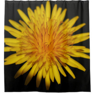 Dandelion Flower sccna Shower Curtain