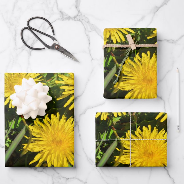 Dandelion Flower Trio Wrapping Paper Sheet (Front)