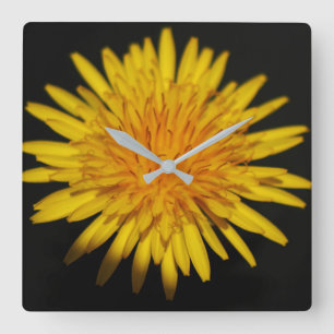 Dandelion Flower Wall Clock