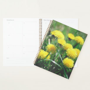 Dandelion Flowers Dandelions Yellow Green Planner