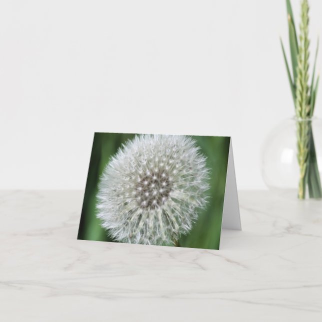 Dandelion Fluff Flower Photography  Note Card (Front)