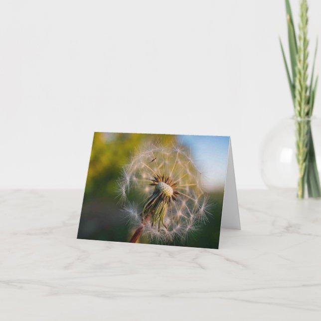 Dandelion Fluffball Notecard (Front)