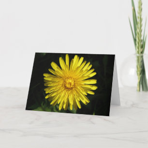 Dandelion Greeting Card