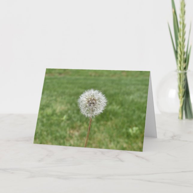 Dandelion Greeting Card (Front)