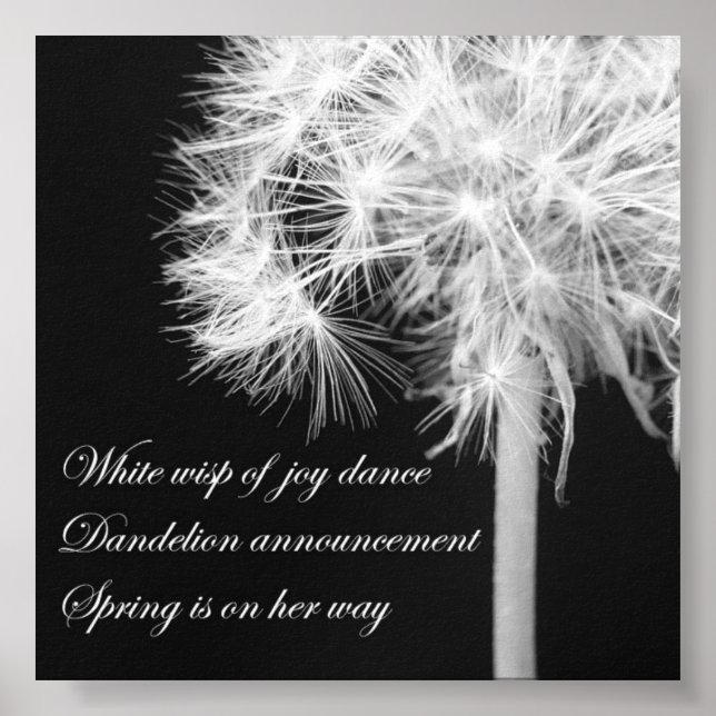 Dandelion Haiku Canvas Print (Front)