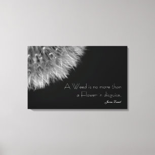Dandelion in Black & White with Quote Canvas Print