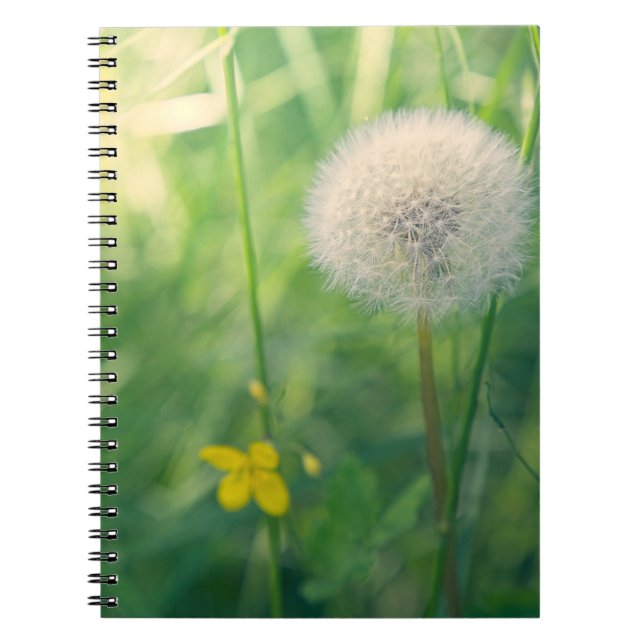 Dandelion in greenery with soft summer light notebook (Front)