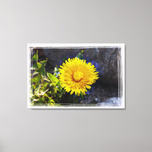 Dandelion in sunlight canvas print