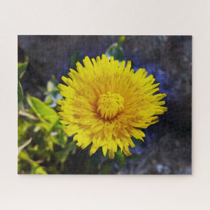 Dandelion in sunlight jigsaw puzzle