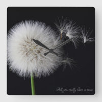 Dandelion in the breeze