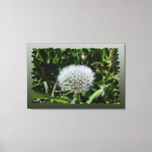 Dandelion in the grass canvas print