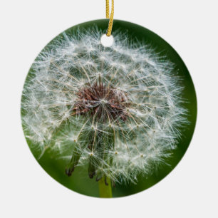 Dandelion In The Light Ceramic Tree Decoration