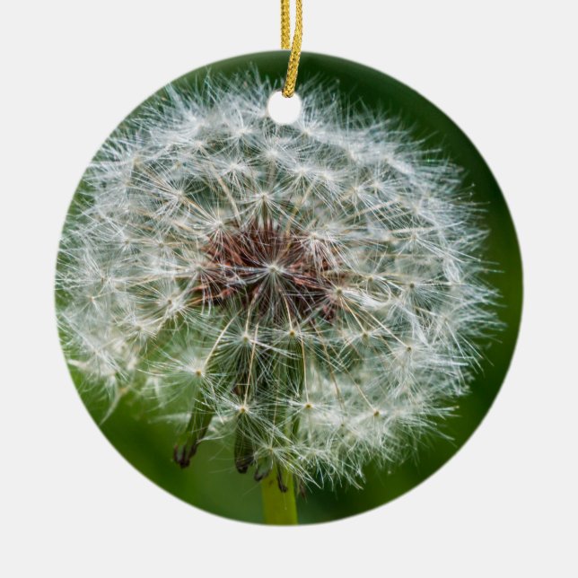 Dandelion In The Light Ceramic Tree Decoration (Front)