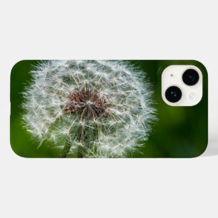 Dandelion In The Light iPhone Case
