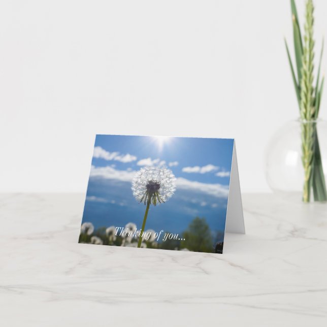 Dandelion In The Light Thinking Of You Card (Front)