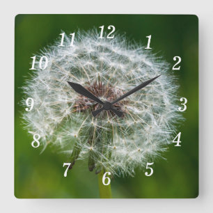 Dandelion In The Light Wall Clock