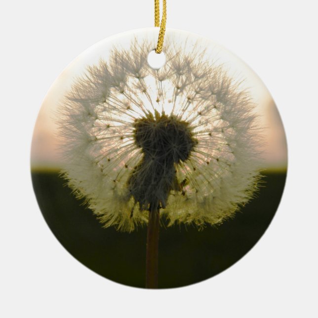 dandelion in the sun ceramic tree decoration (Front)