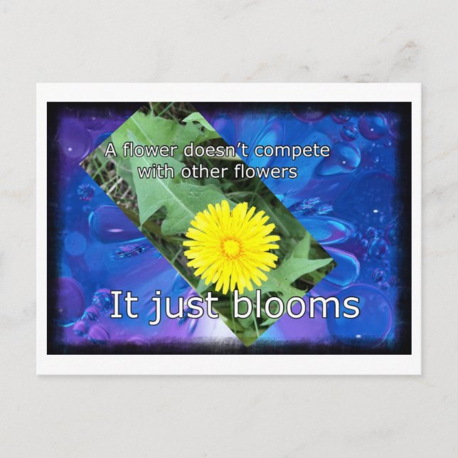 Dandelion  Inspirational Postcard (Front)