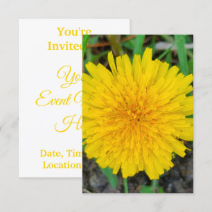 Dandelion Invitation