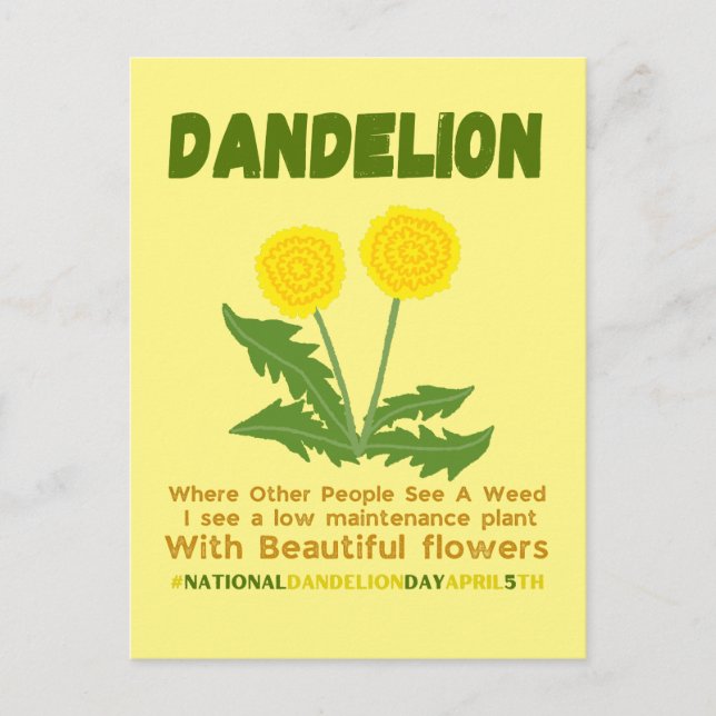 Dandelion is no weed in my garden postcard (Front)