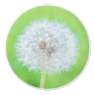 Dandelion - Just Woke Up Beauty Ceramic Knob