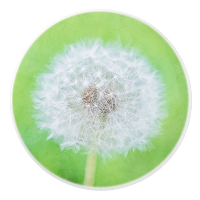 Dandelion - Just Woke Up Beauty Ceramic Knob (Front)