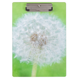 Dandelion - Just Woke Up Beauty Clipboard