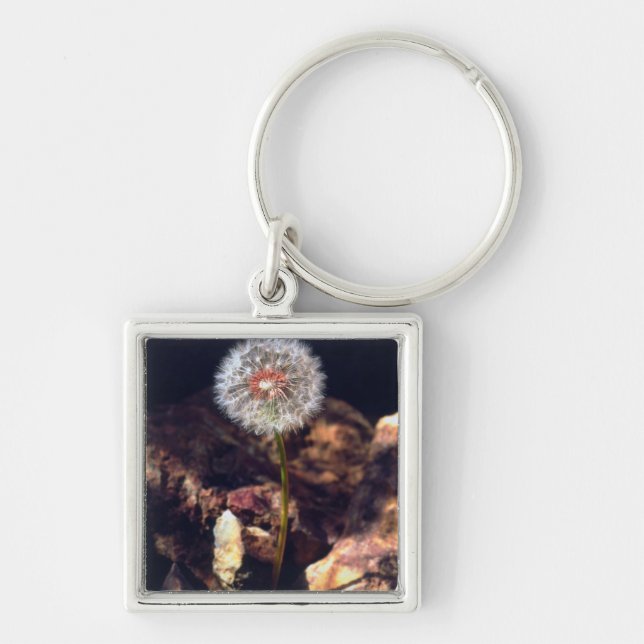 Dandelion Key Ring (Front)