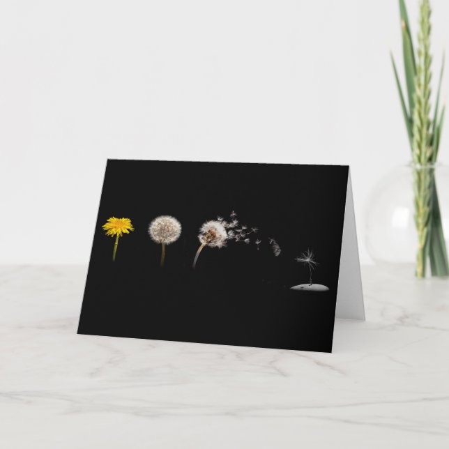Dandelion Life Cycle Greeting Card (Front)