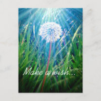 Dandelion Macro
