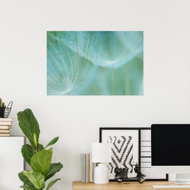 Dandelion macro poster (Home Office)